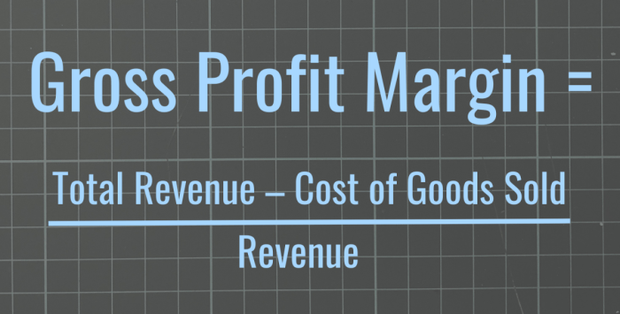Profit margin ratio profitability accounting cost roa ratios relationship amount