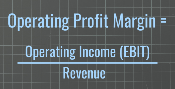 Margin operating formula calculator finance excel