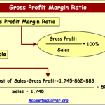 Margin accounting ratio profitability income operating