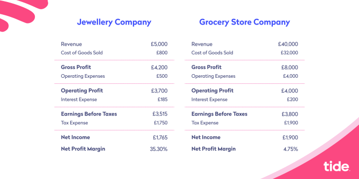 Profit margin ratio profitability accounting cost roa ratios relationship amount